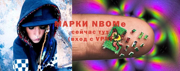 тгк Нея